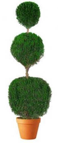 Preserved Triple Ball Topiary 30 inch
